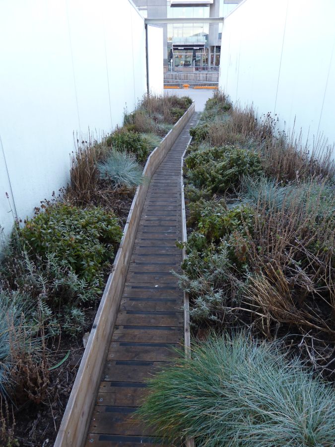 Containergarten