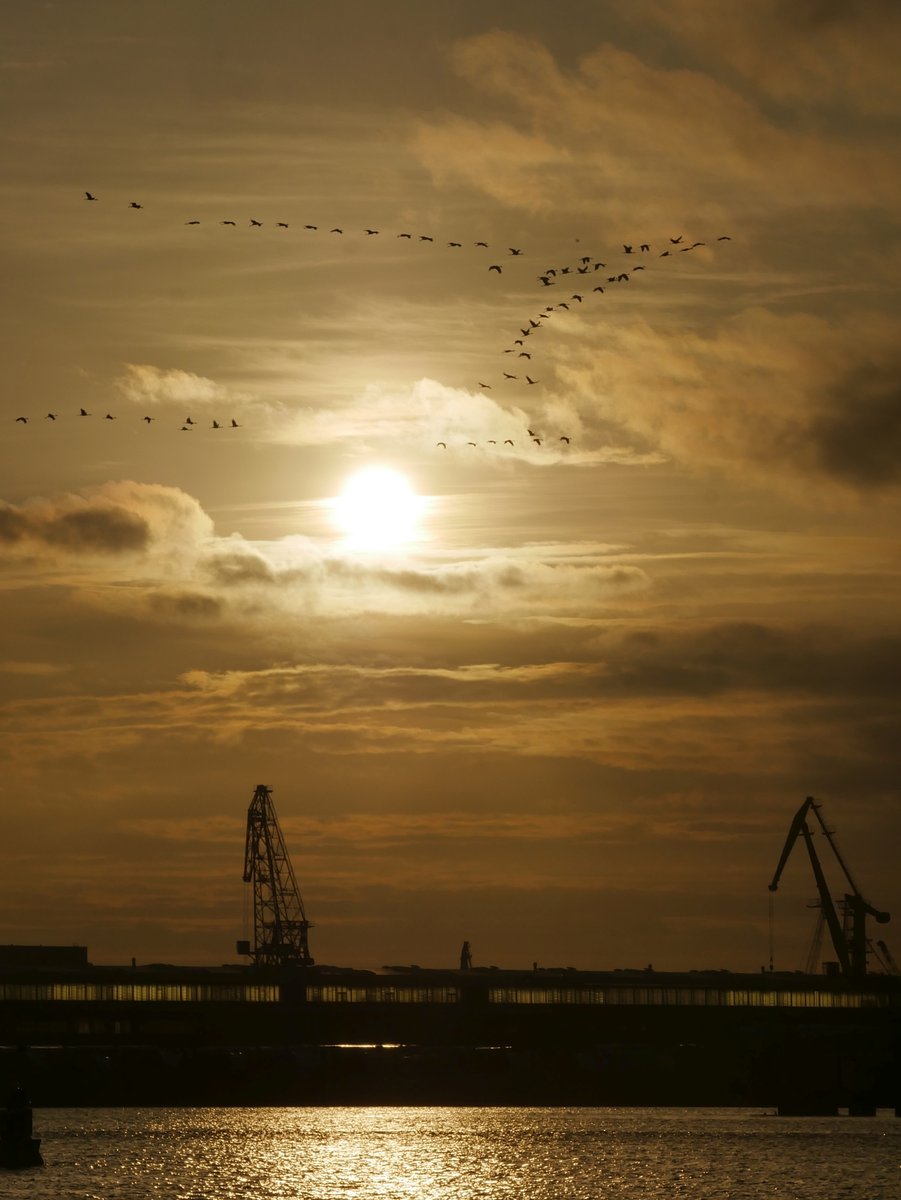 Sonnenaufgang über dem Rostocker Seehafen