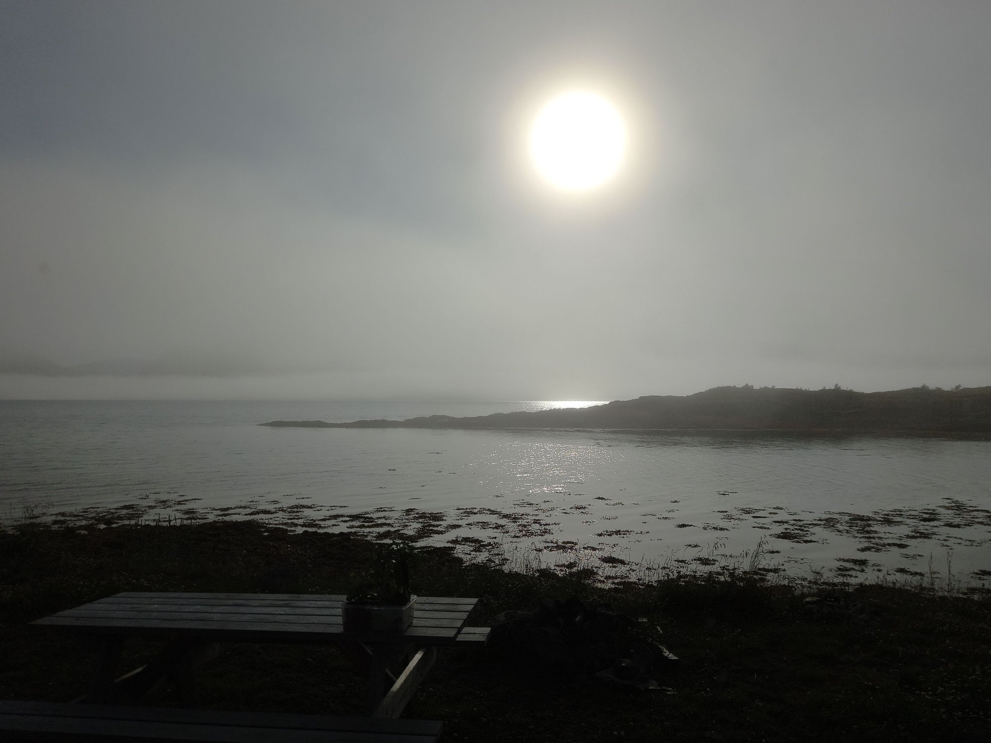 Nebel